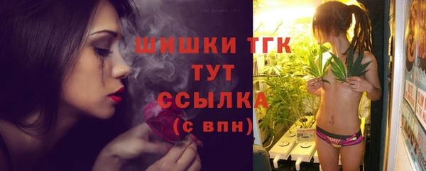 мдпв Сафоново