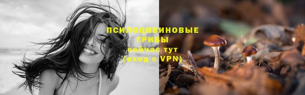 мдпв Сафоново