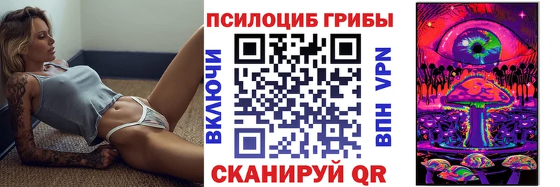 даркнет как зайти  Карачаевск  Галлюциногенные грибы MAGIC MUSHROOMS 