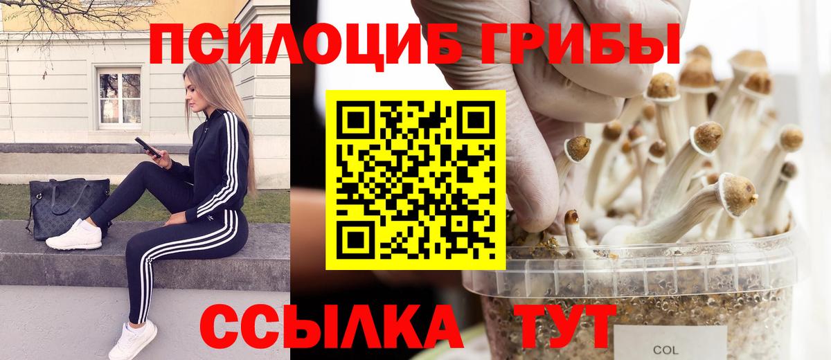 Галлюциногенные грибы MAGIC MUSHROOMS Карачаевск