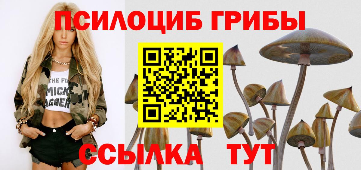Карачаевск  Галлюциногенные грибы мицелий  Псилоцибиновые грибы ЛСД  Вход с VPN 